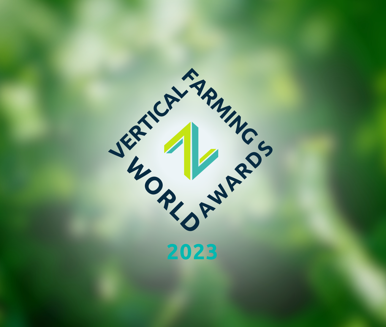 VFWA 2023 Finalists