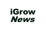 I Grow News logo